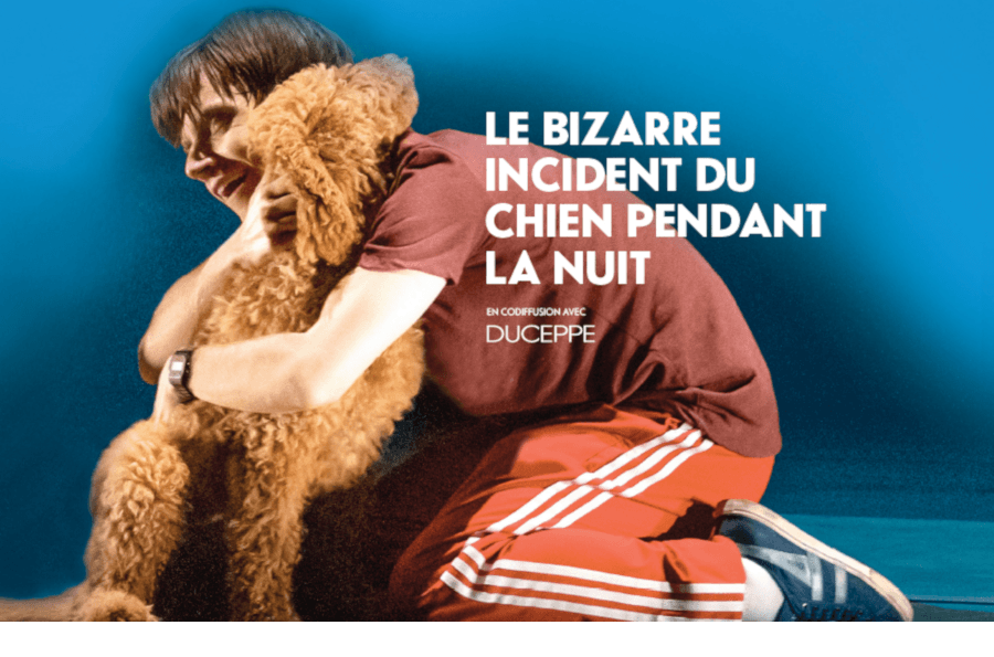 Le Bizarre Incident Du Chien Pendant La Nuit Theatre